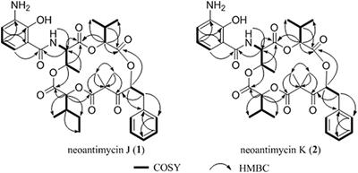 Compound Discovery and Structure-Activity Relationship Study of Neoantimycins Against Drug-Resistant Cancer Cells